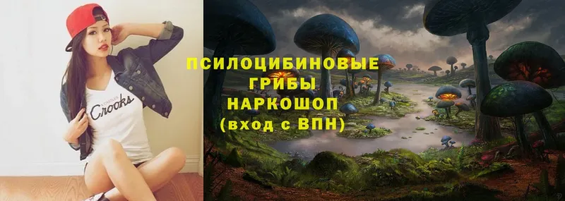 Псилоцибиновые грибы Magic Shrooms  Пушкино 